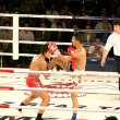 tieboxing